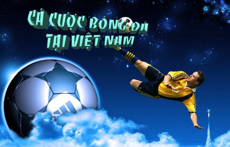 Thông tin về luật cá độ bóng đá Việt Nam
